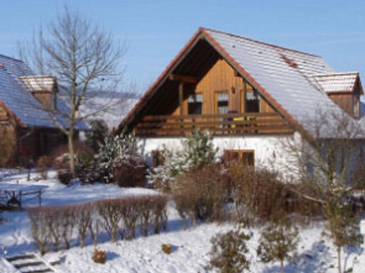 Spacious Apartment In The Green Bruchttal Bredenborn Экстерьер фото